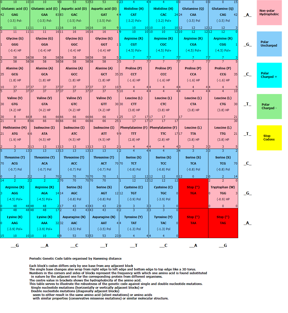 Genetic Code Periodic Table